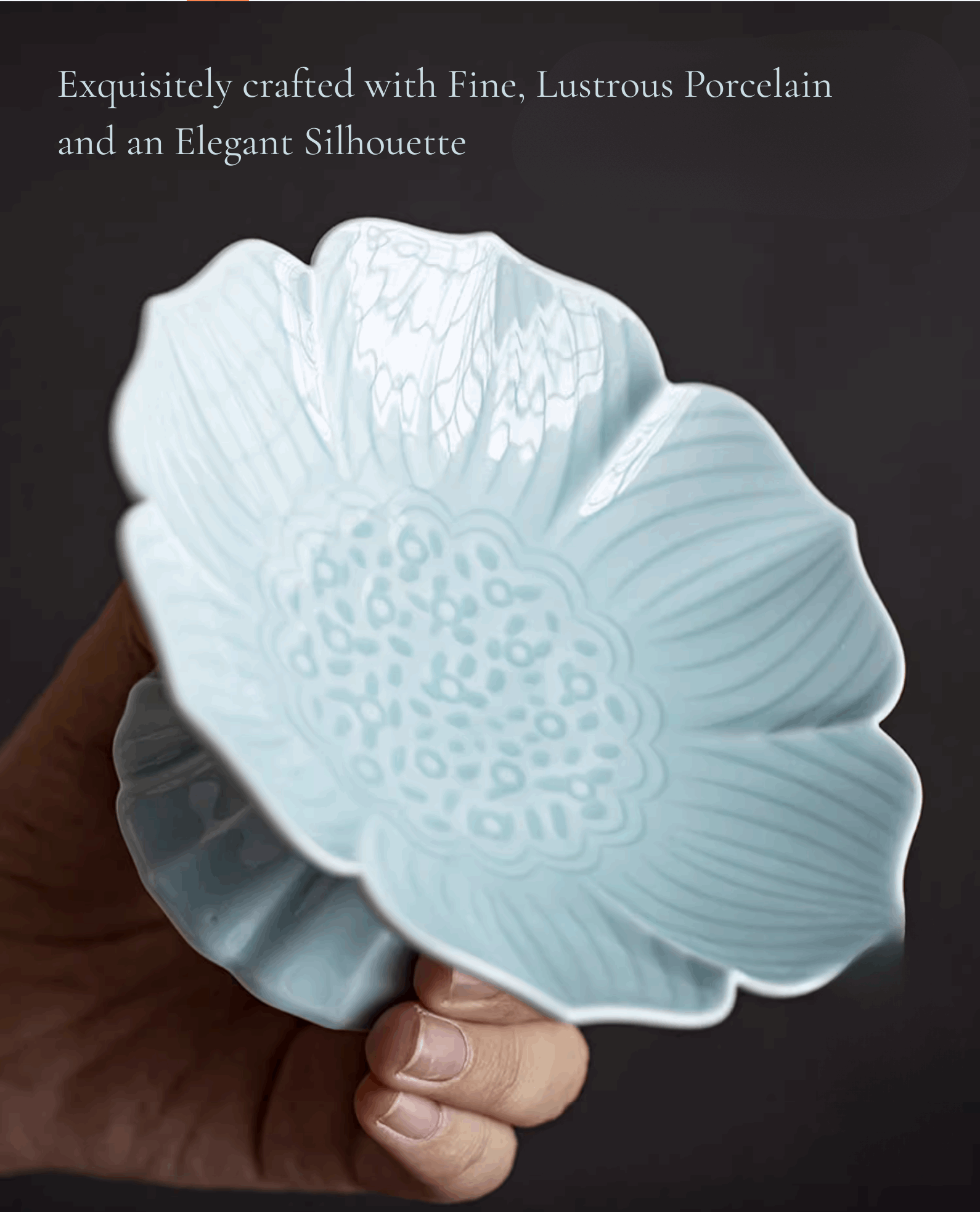 light blue serving platter tilt