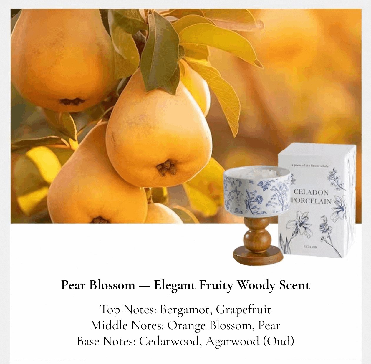 porcelain rose design candle elegant fruity woody scent smell