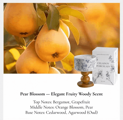 porcelain rose design candle elegant fruity woody scent smell