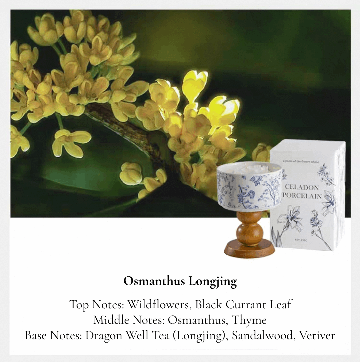 porcelain rose design candle osmanthus longjing smell