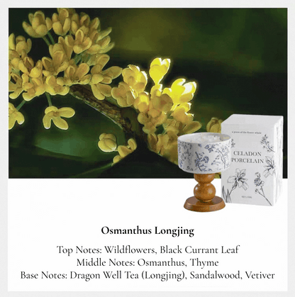 porcelain rose design candle osmanthus longjing smell