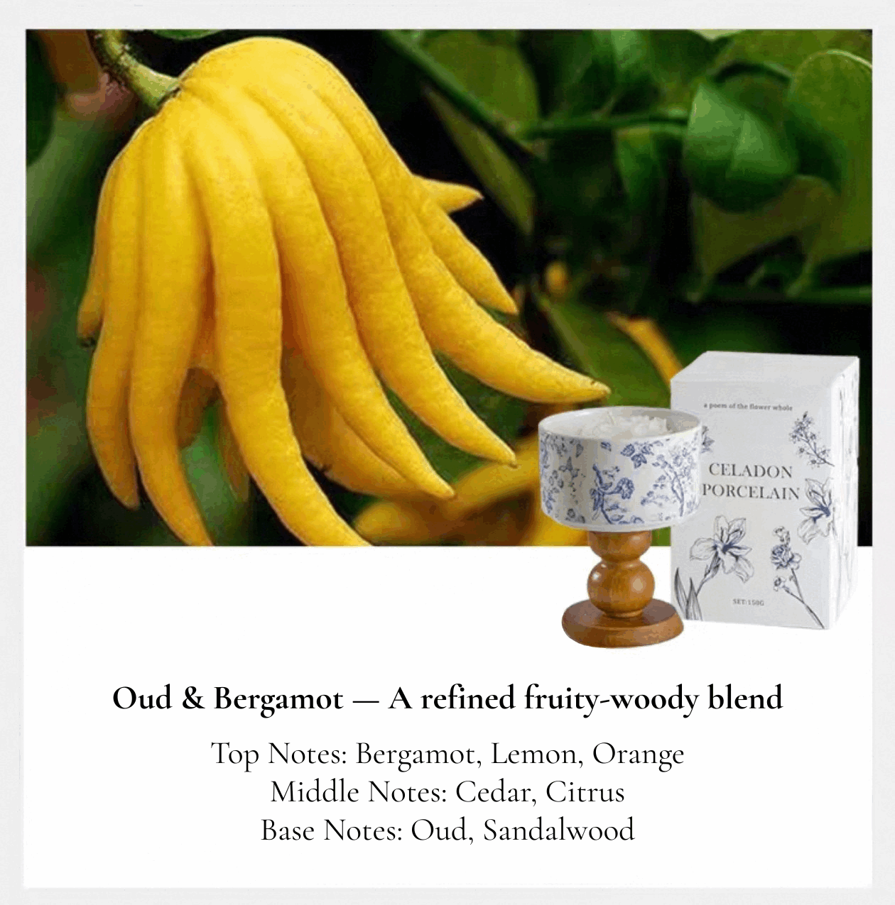 porcelain rose design candle oud & bergamot smell
